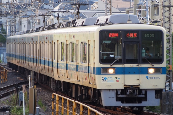 【小田急】8000形8255Fが「江ノ島線開業90周年」仕様にを新百合ヶ丘駅で撮影した写真