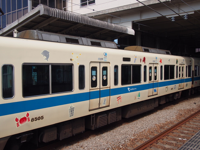 【小田急】8000形8255Fが「江ノ島線開業90周年」仕様にを開成駅で撮影した写真