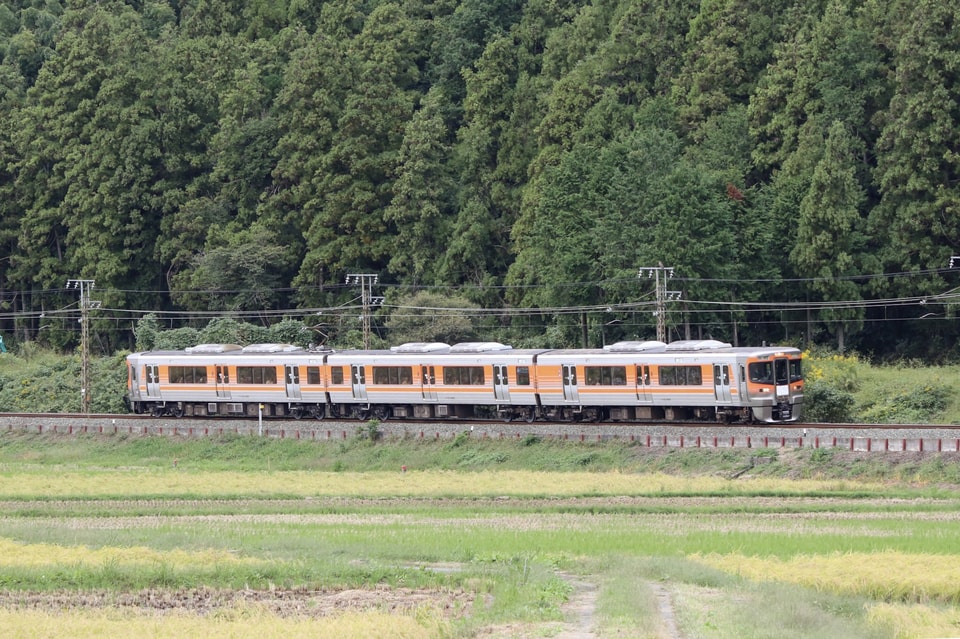 【JR海】313系8000番台使用のおいでん奥三河 運転の拡大写真