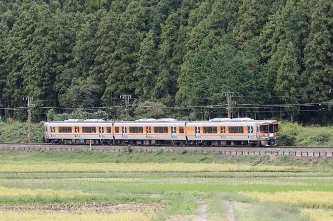 【JR海】313系8000番台使用のおいでん奥三河 運転を東上〜野田城間で撮影した写真