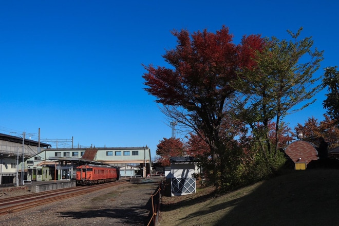 【JR東】快速「飯山線国鉄色旅情」が運転を不明で撮影した写真