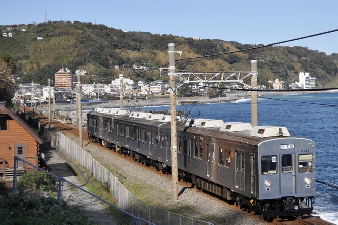 【伊豆急】伊豆急8000系無ラッピング貸切列車で行くなつかしの東急8000系を堪能する旅!