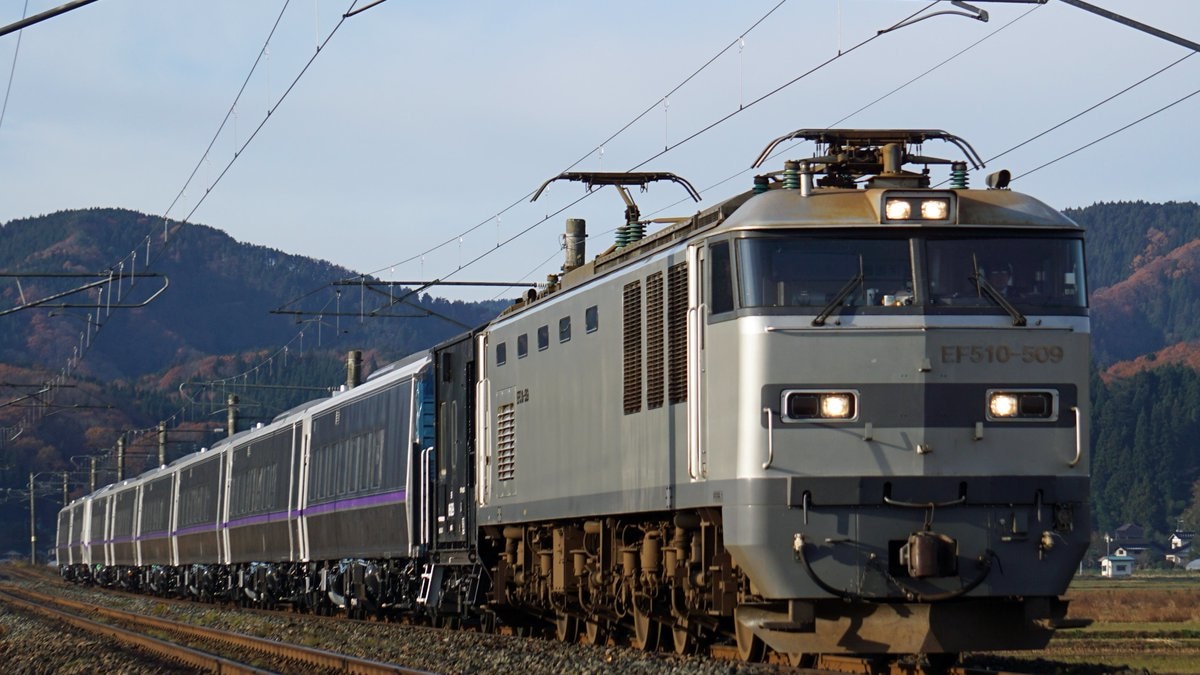 コムギ 下町小町 AWD | キャニコム