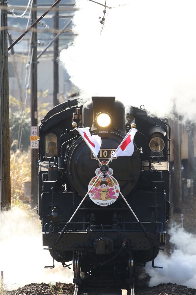 【大鐵】SL 列車「かわね路号」を「新春開運号」として運転(2020)を不明で撮影した写真