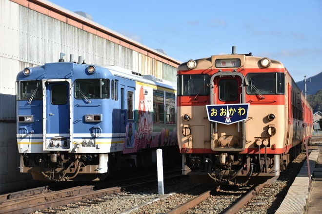 【会津】キハ47国鉄色使用の急行おおかわ号を会津田島駅で撮影した写真