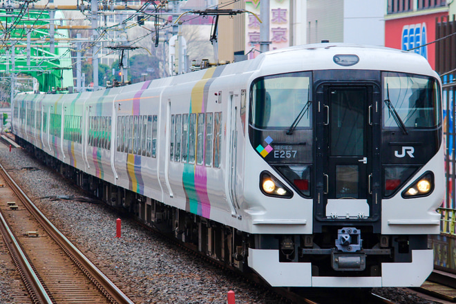 【JR東】「成田山初詣やまなし号」運転を秋葉原駅で撮影した写真
