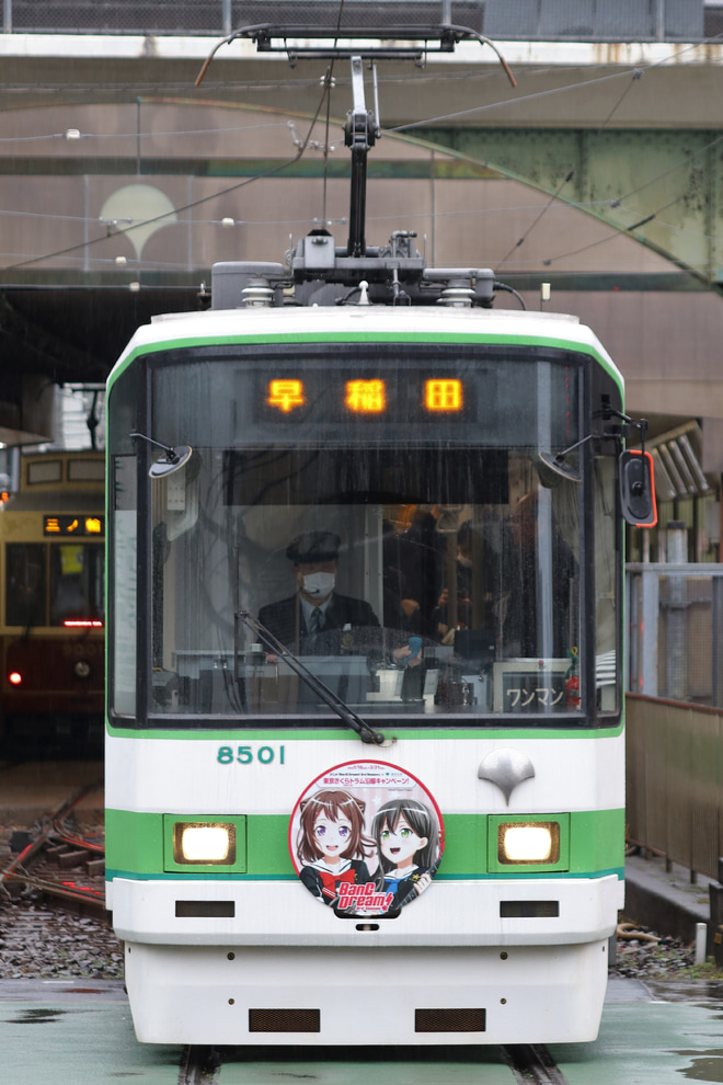 【都営】都電8501F『BanG Dream!3rd Season』コラボHMを大塚駅前駅で撮影した写真