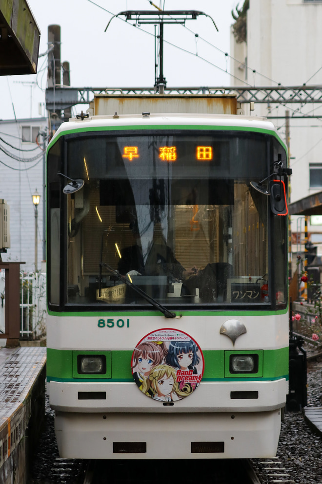 【都営】都電8501F『BanG Dream!3rd Season』コラボHMを三ノ輪橋駅で撮影した写真
