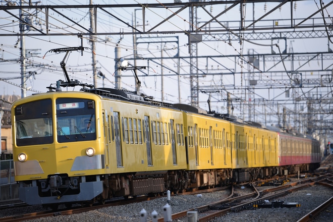 【西武】新101系253F 多摩川線から甲種輸送を西所沢駅で撮影した写真