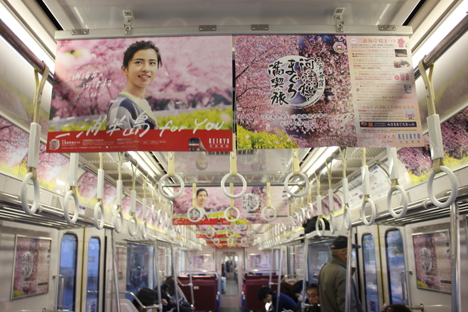 【京急】新1000形1065編成「河津桜とまぐろ満喫の旅」ラッピング(2020)をで撮影した写真