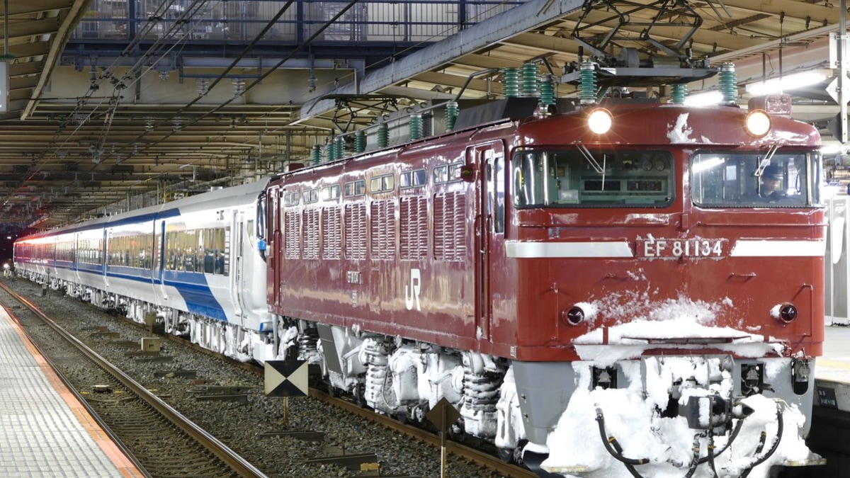 [4/7までカズヤ]E257系2000番台 加工品 E257系2000番台「踊り子」NA-08編成が入線しました。KATO 10
