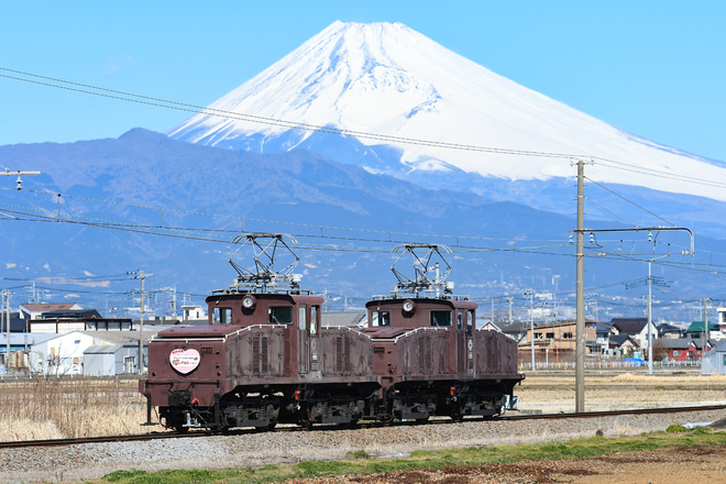【伊豆箱】チョコレート色の機関車EDが“チョコっと”運行 !!を原木～韮山間で撮影した写真