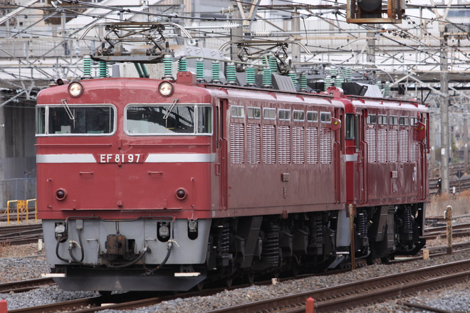 【JR東】ED75-759秋田総合車両センター出場配給を与野駅で撮影した写真