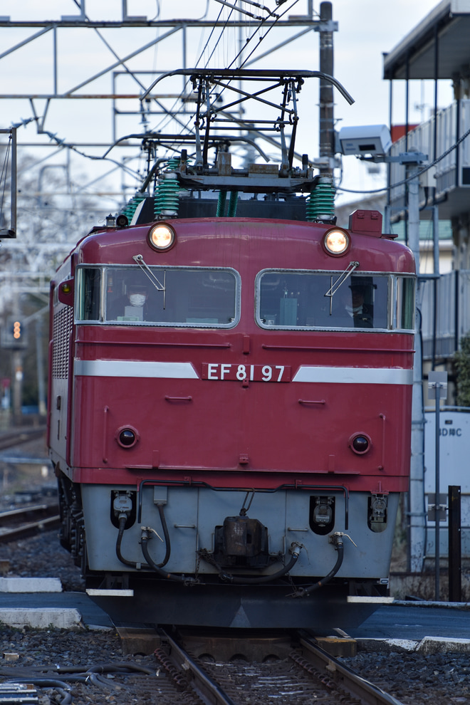 【JR東】EF81-97返却回送を蓮田駅で撮影した写真