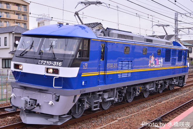 【JR貨】EF210-316 公式試運転を実施を須磨駅で撮影した写真