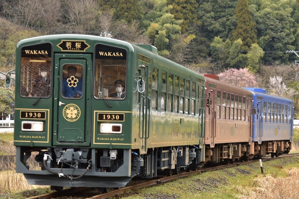 【若桜】観光列車「若桜号」デビューおよび観光列車3両連結運転の拡大写真