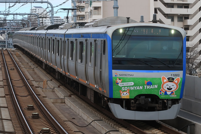 【相鉄】七代目そうにゃんトレイン 運行開始を天王町駅で撮影した写真