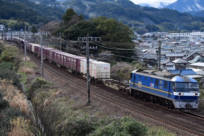【JR貨】EF210形300番台が東海、関東エリアに乗り入れ開始を金谷〜島田間で撮影した写真