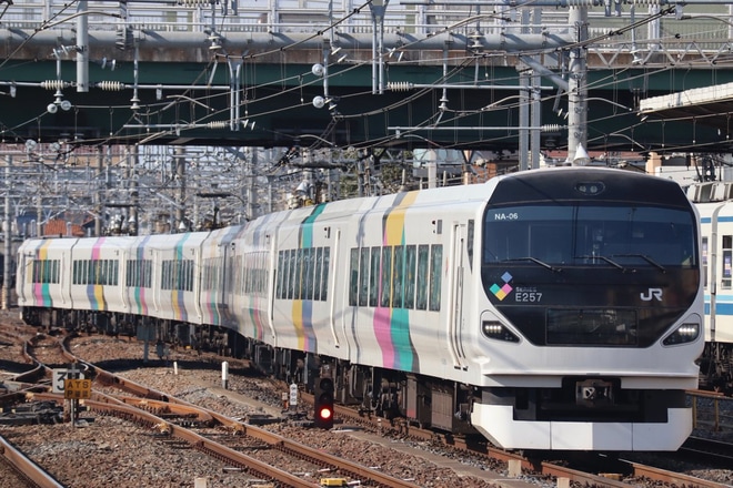 【JR東】E257系NA-06編成尾久疎開回送を大宮駅で撮影した写真