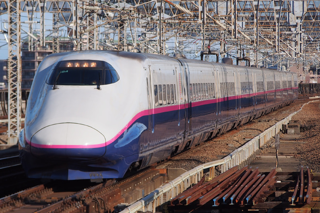 【JR東】上越新幹線で上野発着の定期「たにがわ」号運転開始