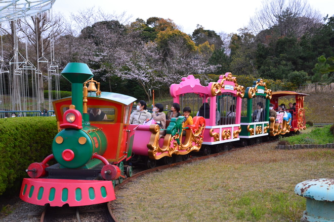 【南海】みさき公園の園内列車(アニマルトレイン)が営業終了をみさき公園で撮影した写真