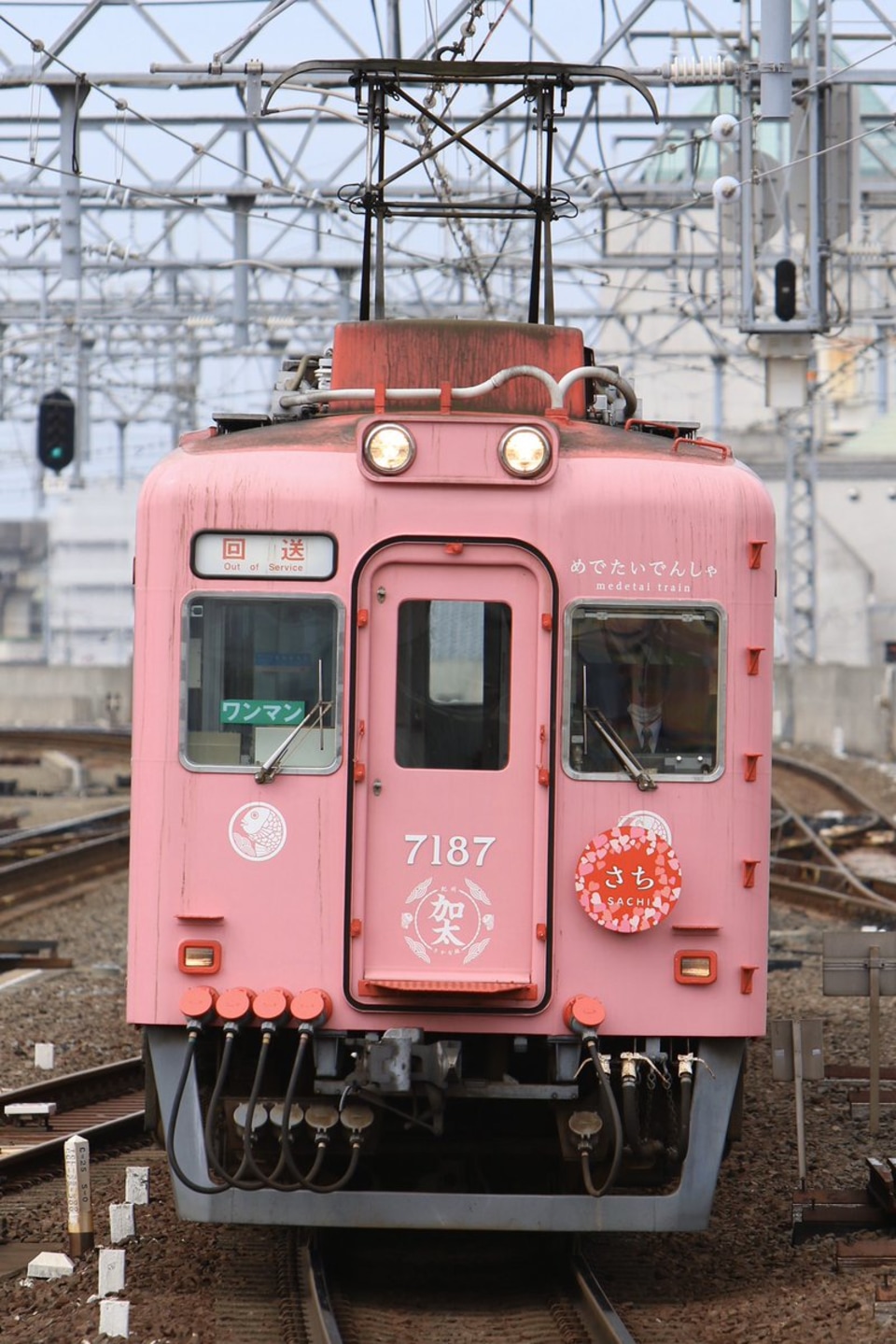 【南海】7100系7187F「めでたいでんしゃ　さち」千代田工場入場回送の拡大写真