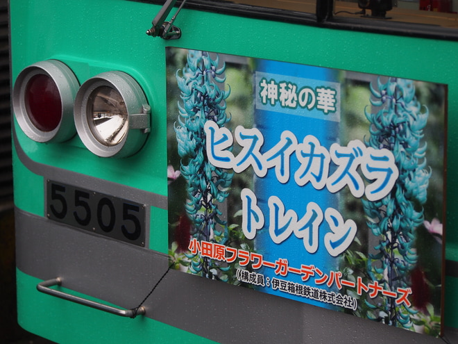 【伊豆箱】5000系5505編成「ヒスイカズラ トレイン」仕様にを五百羅漢駅で撮影した写真