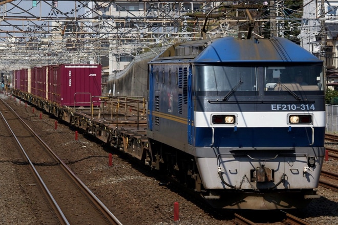 【JR貨】 EF210形300番台が常磐線へ初入線を松戸〜金町間で撮影した写真
