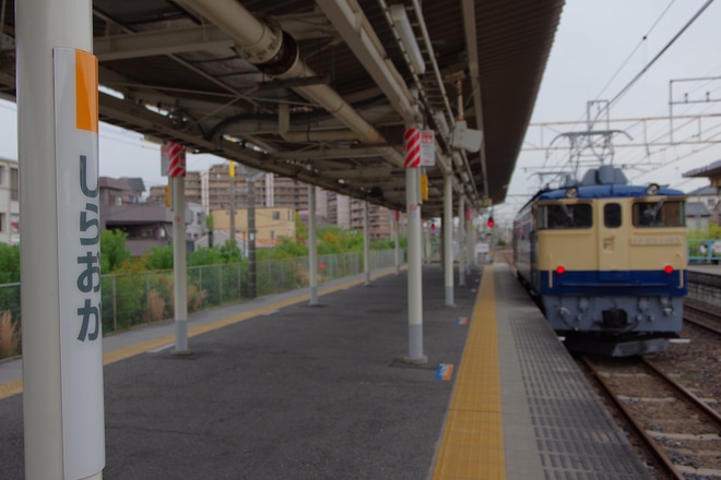 【JR東】EF65-1103白岡試単を白岡駅で撮影した写真