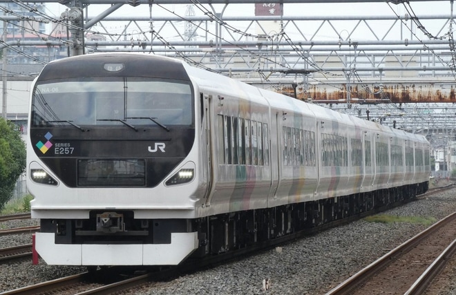 【JR東】E257系NA-06編成尾久疎開回送(20200527)を西川口駅で撮影した写真