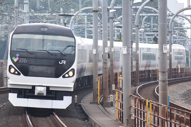 【JR東】E257系M-107編成尾久疎開回送を赤羽駅で撮影した写真