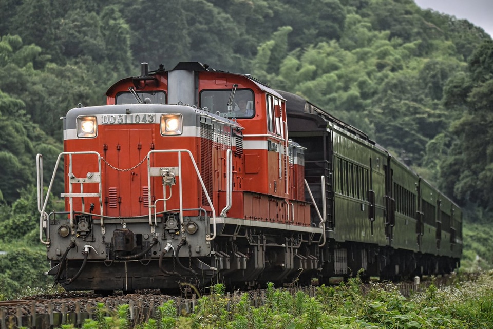 【JR西】DD51牽引の35系乗務員訓練列車の拡大写真