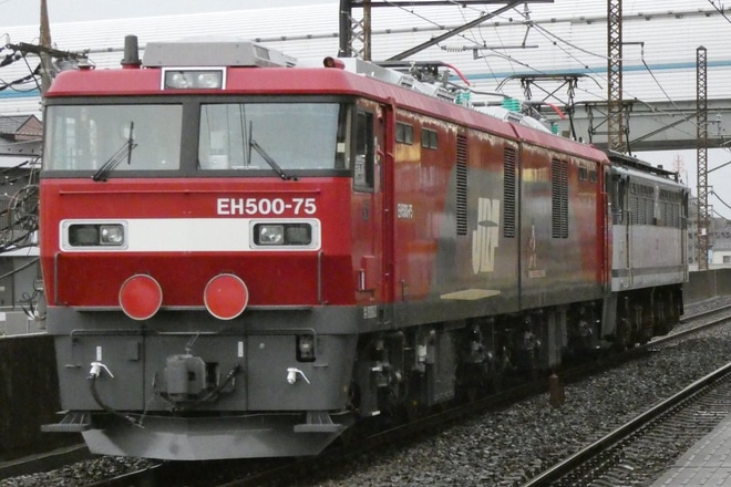【JR貨】EH500-75 大宮車両所出場を西浦和駅で撮影した写真