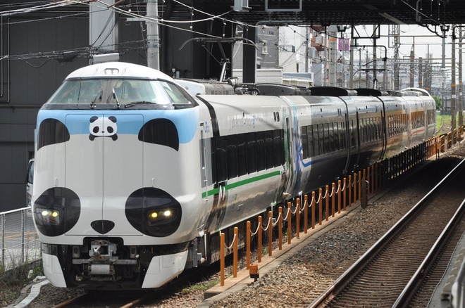 【JR西】パンダくろしおSustinable Smile Train構内試運転を岸辺駅で撮影した写真