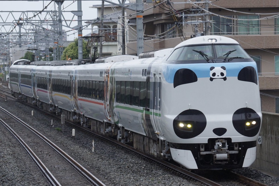 【JR西】パンダくろしおSustinable Smile Train本線試運転の拡大写真