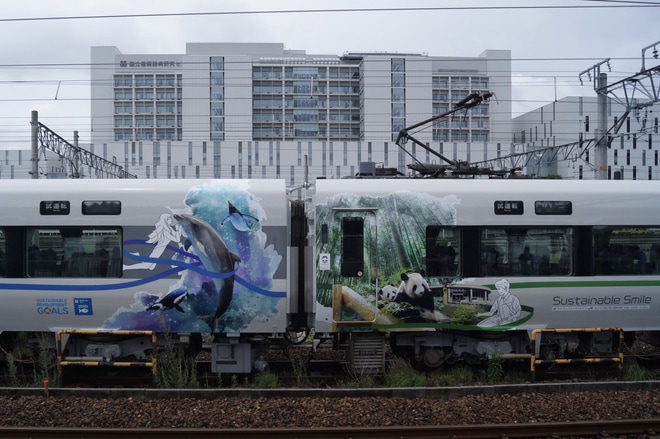 【JR西】パンダくろしおSustinable Smile Train本線試運転を不明で撮影した写真