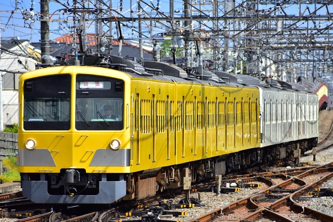 【西武】新101系1241F甲種輸送を西所沢駅で撮影した写真