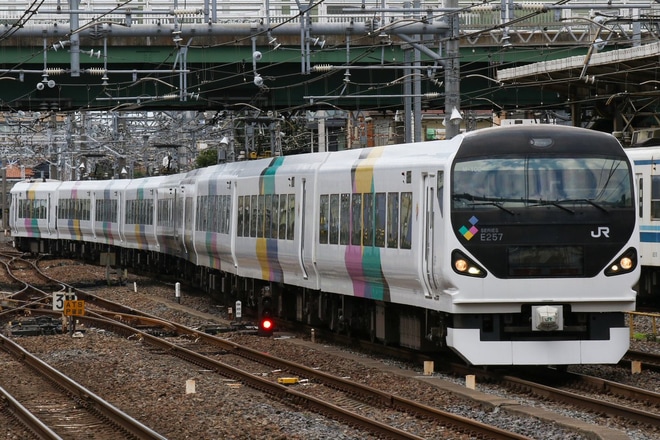 【JR東】E257系M-102編成尾久へ疎開を大宮駅で撮影した写真