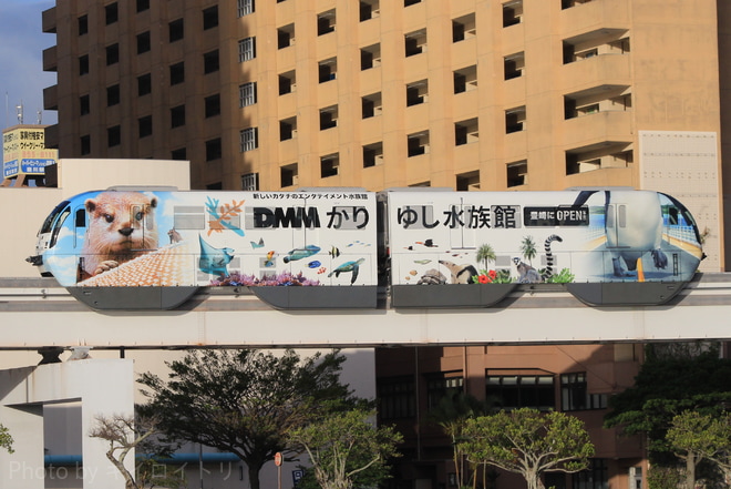 【ゆいレール】DMMかりゆし水族館ラッピング車運行中を壺川～旭橋間で撮影した写真