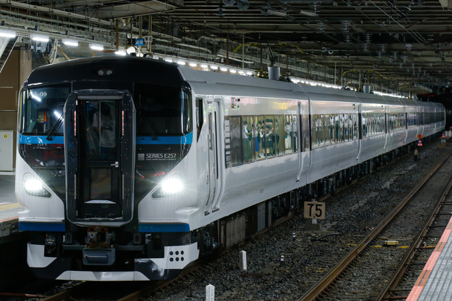 【JR東】E257系オオNA-09編成 新潟車両センター疎開返却回送を大宮駅で撮影した写真