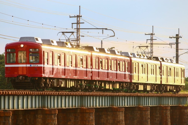 【ことでん】1200形1211編成情熱の赤い電車運行開始を不明で撮影した写真