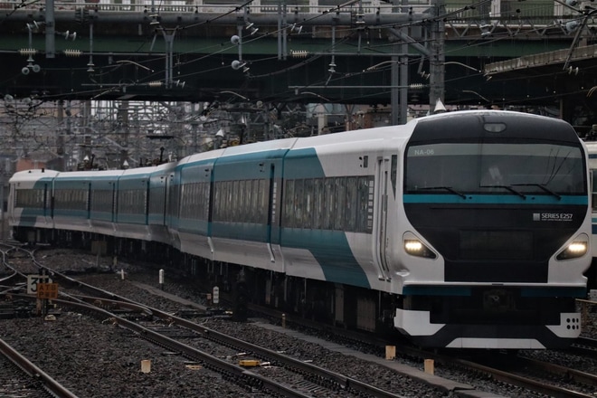 【JR東】E257系NA-06編成が尾久疎開のため回送を大宮駅で撮影した写真
