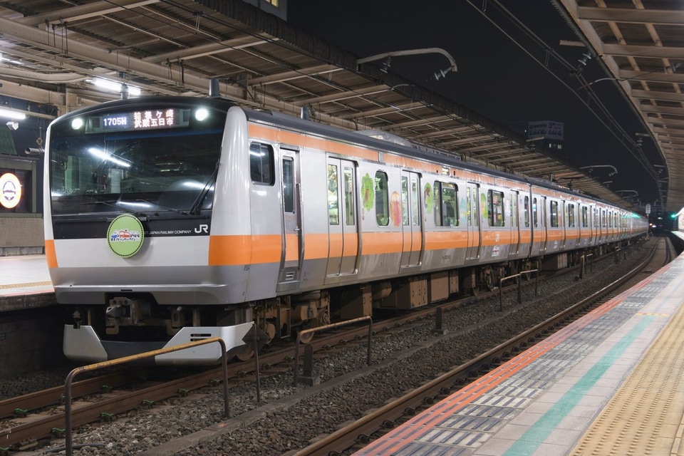 【JR東】E233系東京アドベンチャーラインラッピング編成中央線、八高線などへの拡大写真