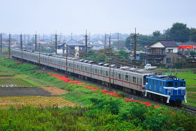 【東武】30000系31604F+31404Fが秩父鉄道内を輸送を不明で撮影した写真
