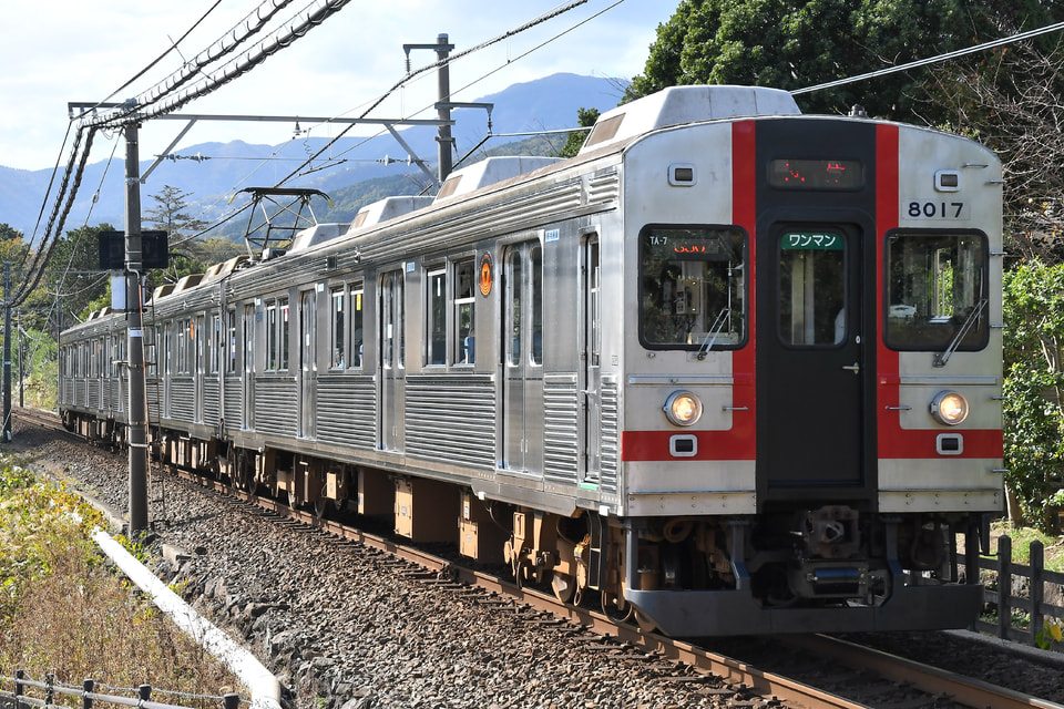 【伊豆急】8000系歌舞伎ラッピング貸切列車(TA-7編成)で行く なつかしの東急8000系を堪能する旅の拡大写真