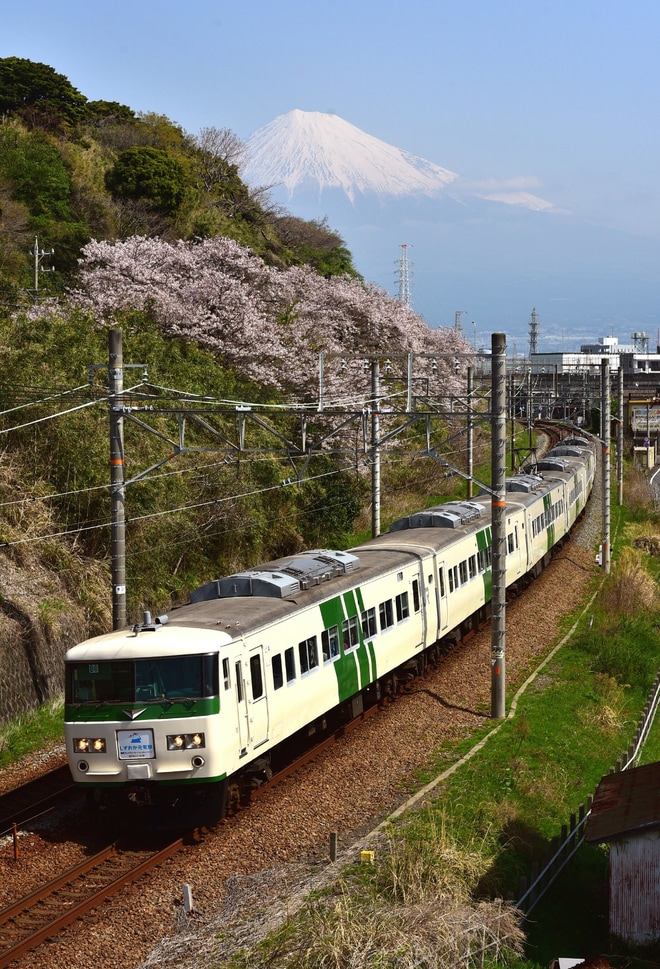 【JR東】プレDC静岡まつり号運転を富士川～新蒲原間で撮影した写真