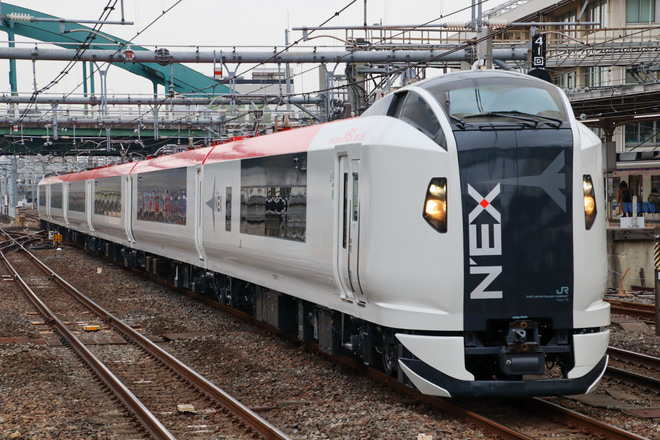 【JR東】E259系Ne019編成大宮総合車両センター出場回送を大宮駅で撮影した写真