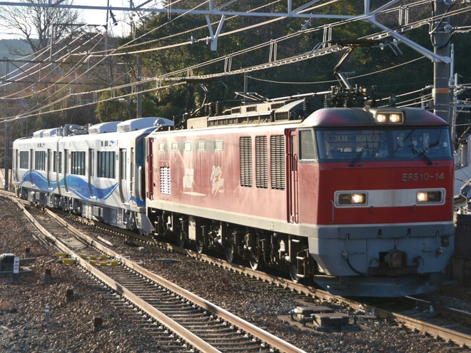 【あい鉄】あいの風とやま鉄道521系3次車AK19編成甲種輸送を山科駅で撮影した写真