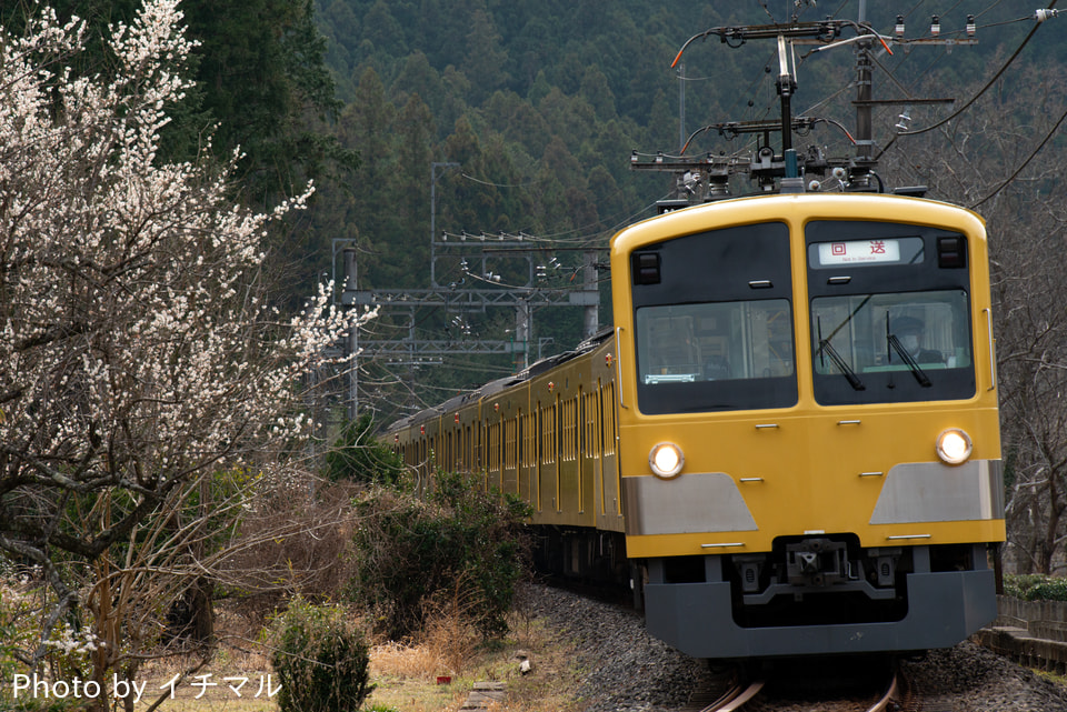 【西武】9000系9104Fのうち4両が武蔵丘への拡大写真
