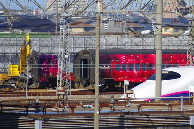 【JR東】E3系R19編成現美新幹線解体作業実施を新潟新幹線車両センター付近で撮影した写真
